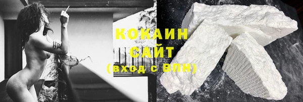 сатива Магас