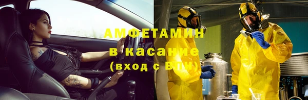 сатива Магас