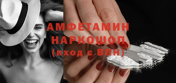 прущие грибы Магадан