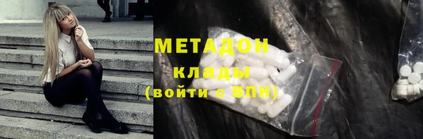 прущие грибы Магадан