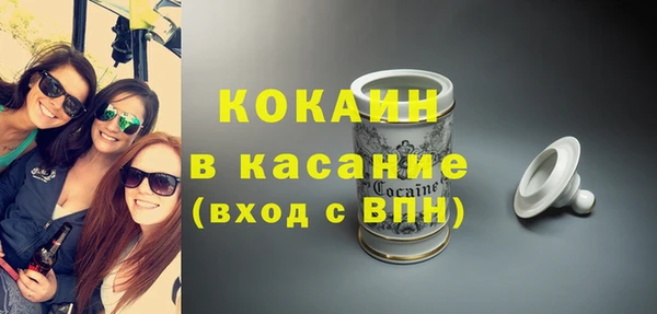 прущие грибы Магадан