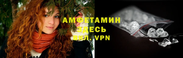 прущие грибы Магадан