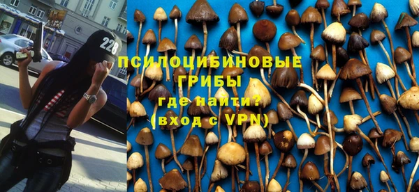 сатива Магас