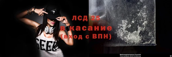 прущие грибы Магадан
