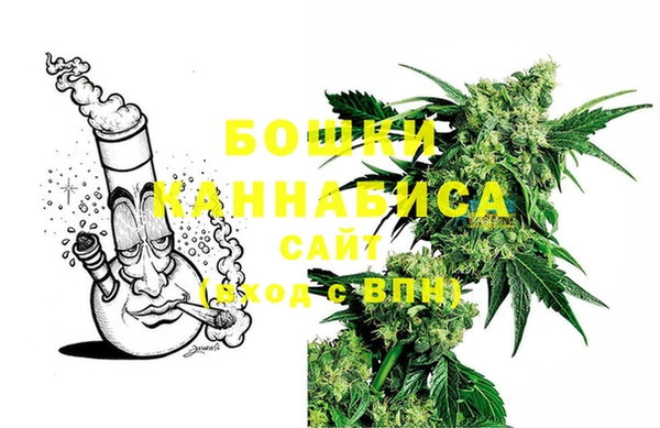 прущие грибы Магадан