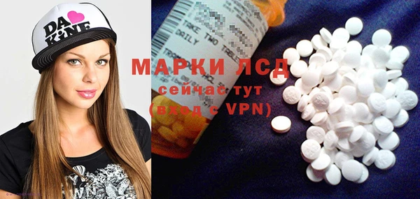 прущие грибы Магадан