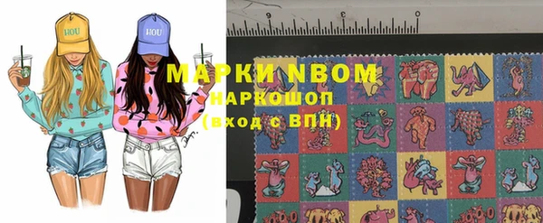 сатива Магас
