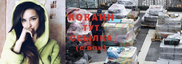 прущие грибы Магадан