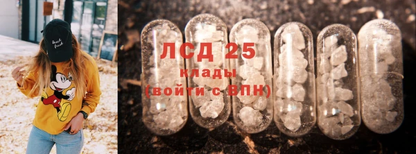сатива Магас