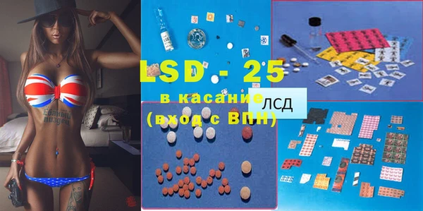 сатива Магас