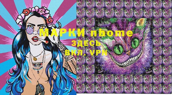 прущие грибы Магадан