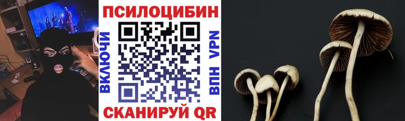 Псилоцибиновые грибы Magic Shrooms  Купить где  Архангельск 